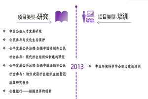 大黑逼网站非评估类项目发展历程